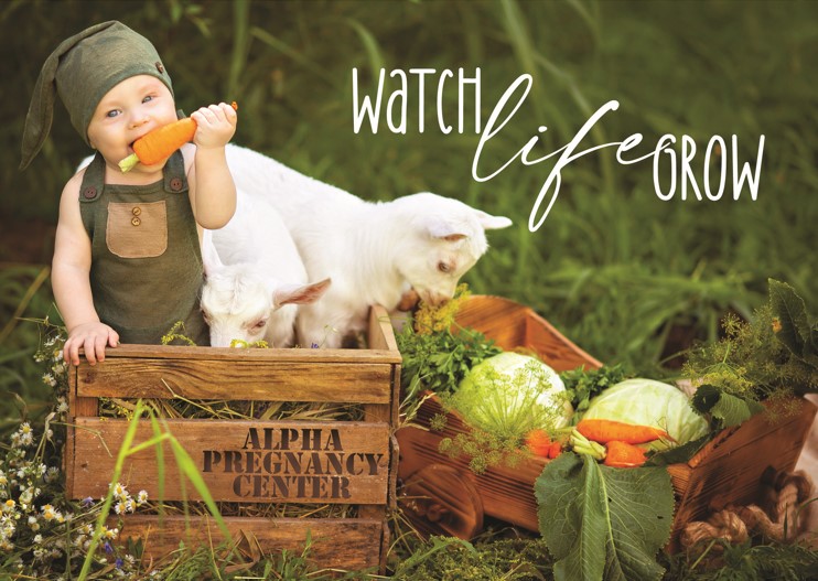 Watch Life Grow